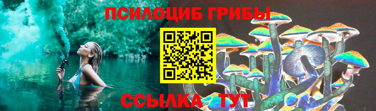 Галлюциногенные грибы Psilocybe Переславль-Залесский